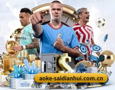 aoke-saidianhui.com.cn APP 深度功能