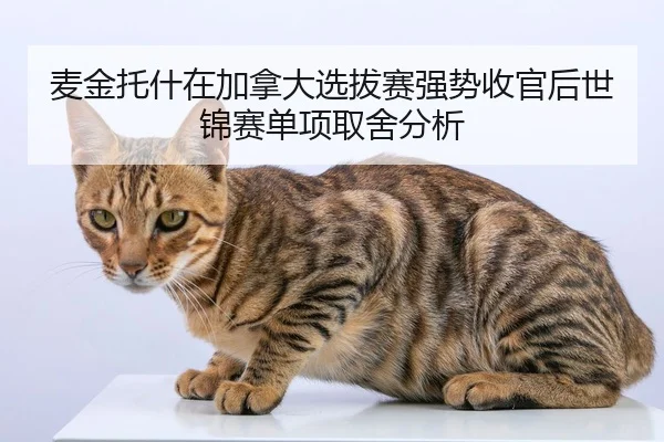 mai-jin-tuo-shen-zai-jia-na-da-xuan-ba-sai-qiang-shi-shou-guan-hou-shi-jin-sai-dan-xiang-qu-she-fen-xi-2-339.jpg
