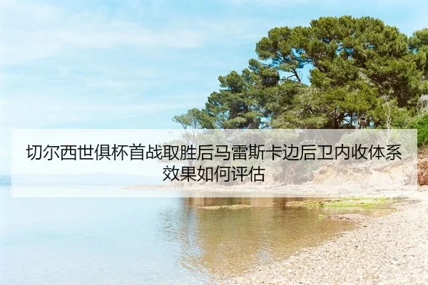 qie-er-xi-shi-ju-bei-shou-zhan-qu-sheng-hou-ma-lei-si-ka-bian-hou-wei-nei-shou-ti-xi-xiao-guo-ru-he-ping-gu-2-375.jpg