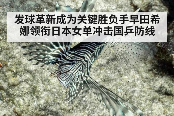 发球革新成为关键胜负手早田希娜领衔日本女单冲击国乒防线